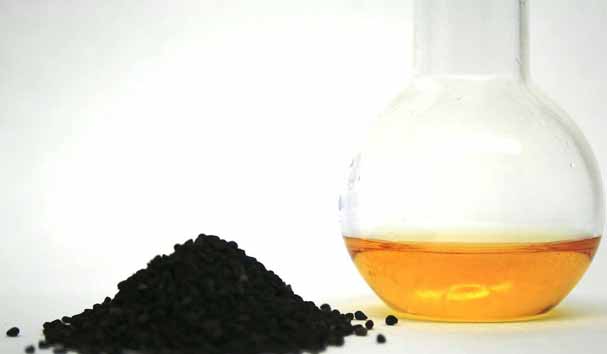 Magical Black Seed Oil for Weight Loss