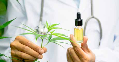 What Are The Benefits Of The CBD Oils