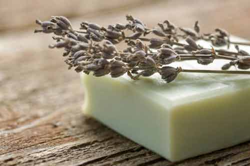 Natural Soap Is the Best Option
