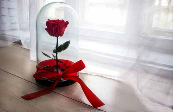 How to Preserve a Bouquet of Roses Forever